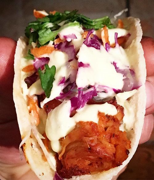 Village Taco at Village Taco in Alexandria