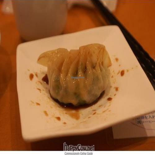 Vegan Gyoza at MOVED: Chien Fu in Tokyo