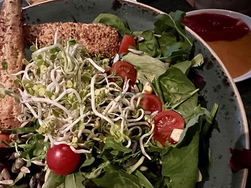 salad  at Hans Im Glück in Berlin