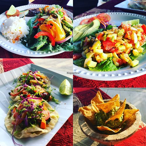 Tacos, emañadas, guacamole, nachos  at El Cocodrilo in Coba