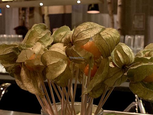 bar at Hans im Glück in Dresden