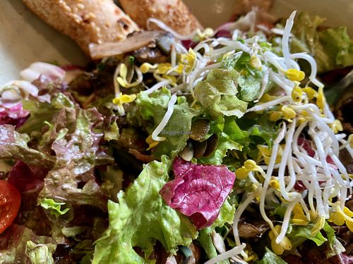 salad at Hans im Glück in Dresden