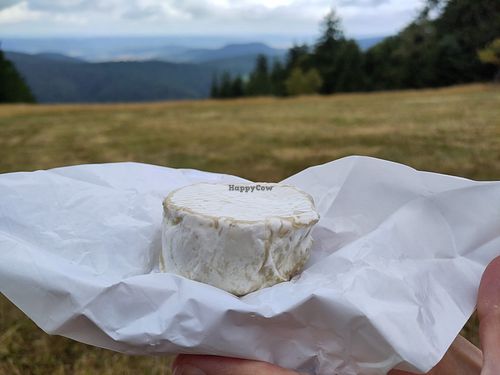 Tomme VII at Cremerie Vegane in Geneva