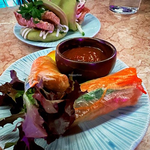 Rice paper rolls  at Hochi Mama in Melbourne