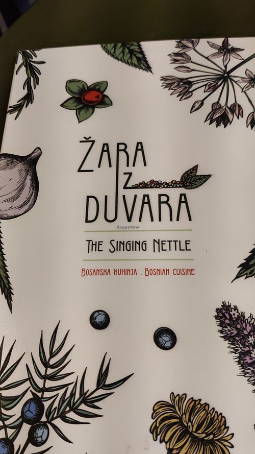  at The Singing Nettle - Žara iz duvara in Sarajevo