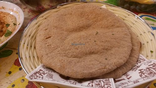 Brown Pittas at Humpit in York