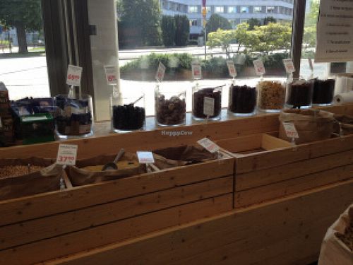 The view from inside at Astrid och Aporna in Malmo