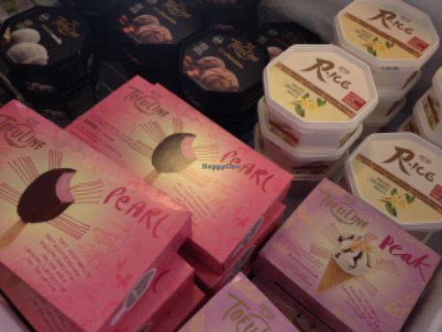 Vegan ice cream from Tofuline and Rice  at Astrid och Aporna in Malmo