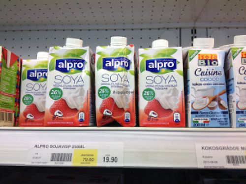 Whipped cream at Astrid och Aporna in Malmo