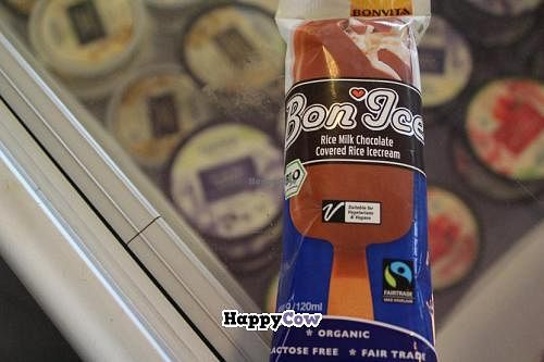 VEGAN rice milk chocolate ice cream at Astrid och Aporna in Malmo