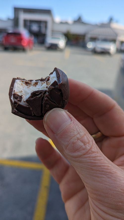 Carob coated vegan marshmallow at The Pines Health Foods in Elanora