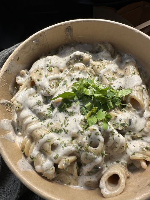 Alfredo. V/GF/Delicious!  at  PLANT GOSSIP - powered by OrVeganic Kitchen in Coeur D Alene