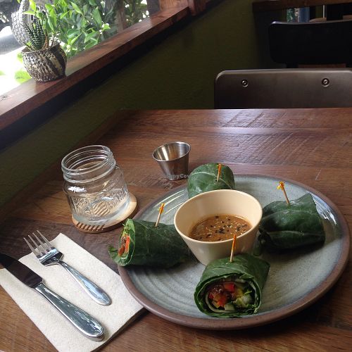 Thai peanut collard wrap at  PLANT GOSSIP - powered by OrVeganic Kitchen in Coeur D Alene