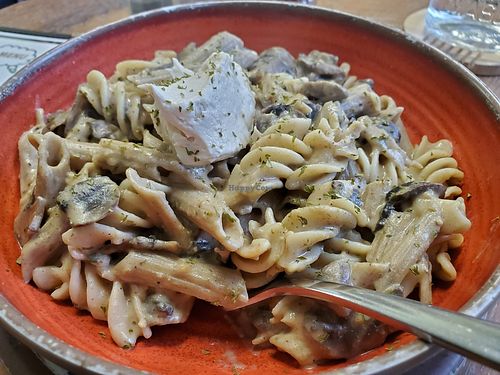 Almond Chardonnay cheddar Alfredo at  PLANT GOSSIP - powered by OrVeganic Kitchen in Coeur D Alene