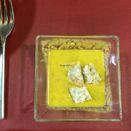 Gaia at Gaia in Burgos