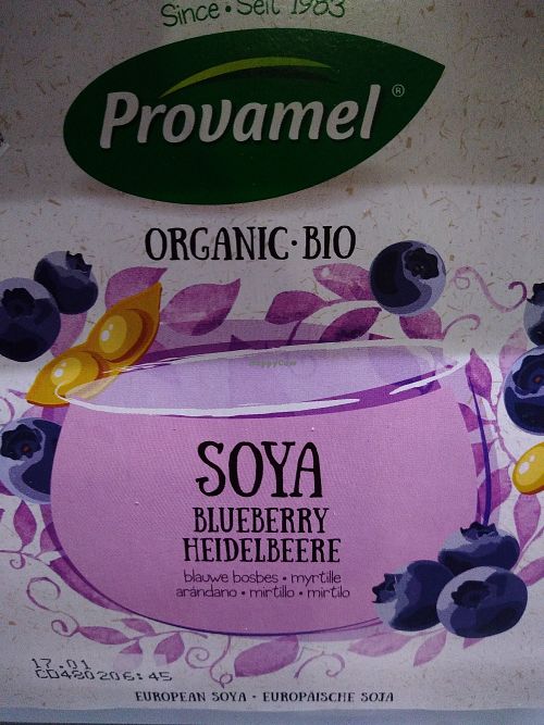 Vegan joghurt at Vegetaria in Bari