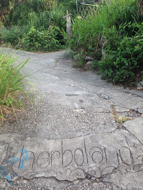 The writing in the concrete and the gate... at Herboland in Outlying Islands