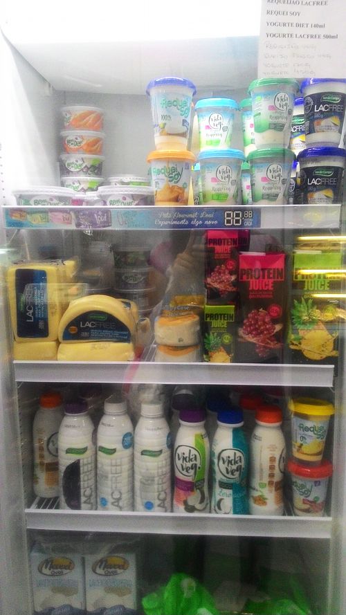 Vegan cheese, vegan cream creese, vegan creams, vegan yogurt at Frutos da Terra in Sao Bernardo Do Campo