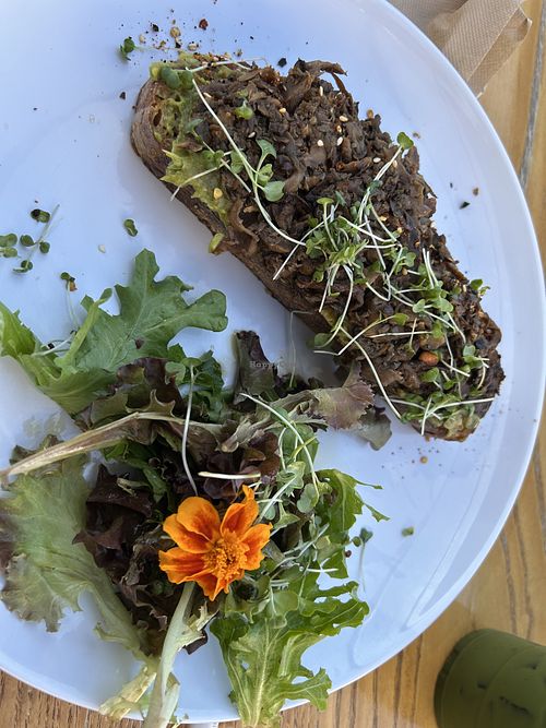 Avocado toast with mushrooms from the upstate’s cafe - very good   at Great Basin Community Food Co-op in Reno