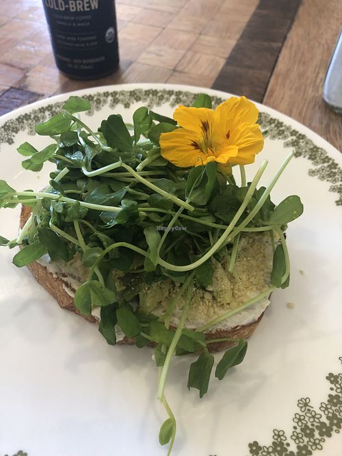 image of Great Basin Community Food Co-op