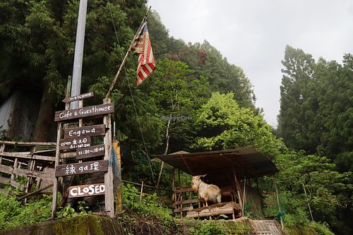 From the outside - They keep 3 goats  at Engawa Cafe and Guesthouse in Wakayama