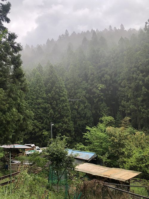 The view is breathtaking  at Engawa Cafe and Guesthouse in Wakayama