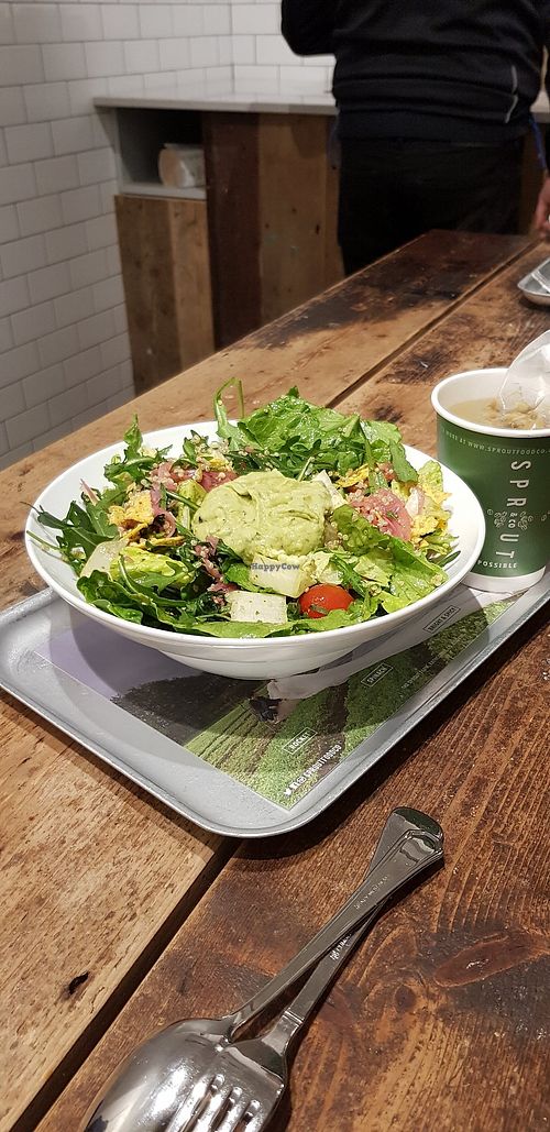 Sprout & Co Baggot St Dublin Restaurant HappyCow