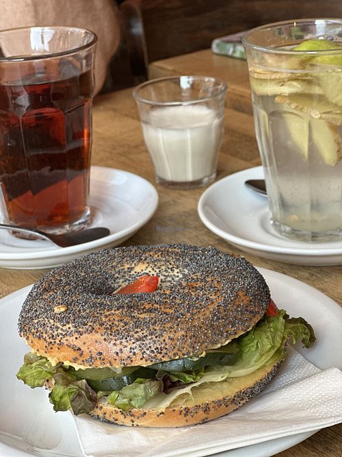 Poppy seed bagel  at Bagels & Coffee in Potsdam