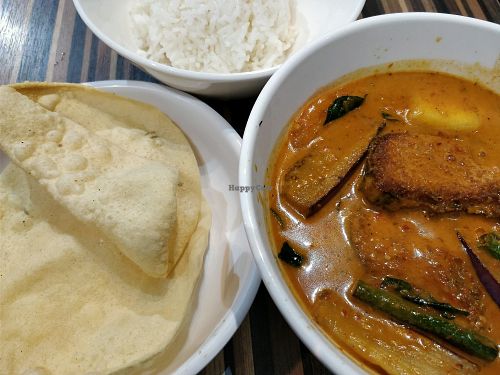 curry fish with rice at Photosynthesis Cafe in East Singapore