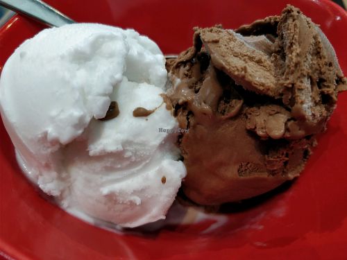 coconut and chocolate vegan ice cream at Photosynthesis Cafe in East Singapore