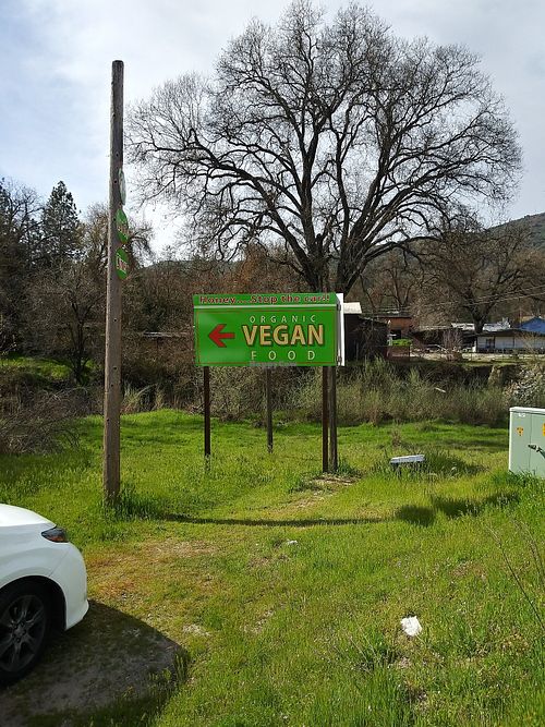 Heaven at Love Cafe  in Oakhurst