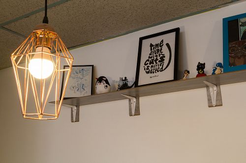 wall decor at Au Bonheur des Chats in Lyon