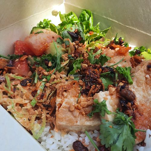 Teriyaki tofu rice bowl at Red Panda in Lyme Regis