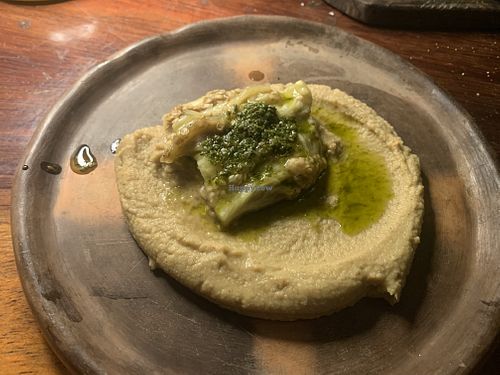   at TreeHouse La Selva in Playa Del Carmen