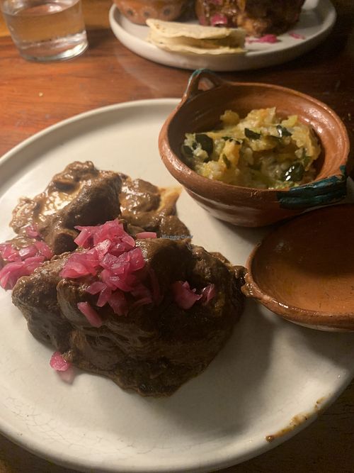   at TreeHouse La Selva in Playa Del Carmen