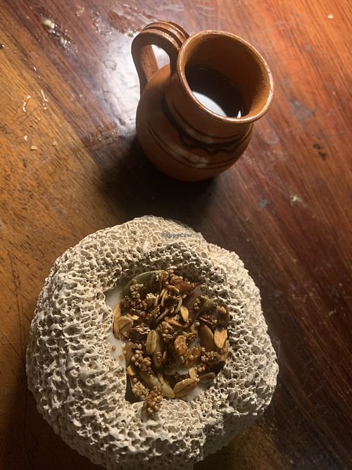   at TreeHouse La Selva in Playa Del Carmen