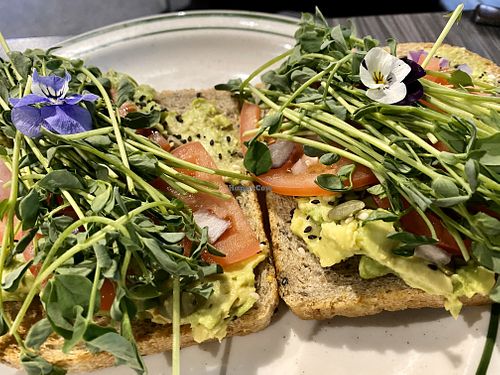 Millennial Toast at nightshop in Bloomington