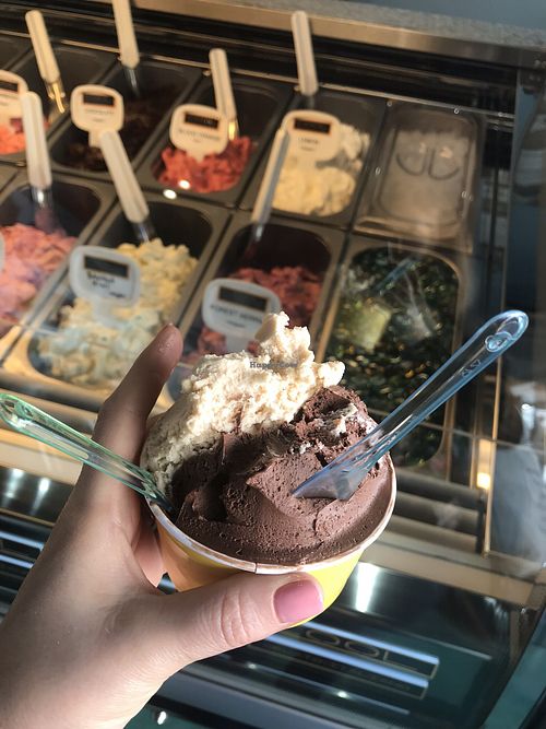 Half chocolate/half almond medium  at Cool Gelato Italiano in Scottsdale