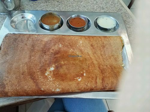 potato masala dosa (spicy) at Tirupathi Bhimas in Milpitas