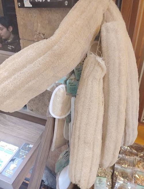 Huge Loofah!!!  at Warehouse Ecological and Natural Products in Istanbul