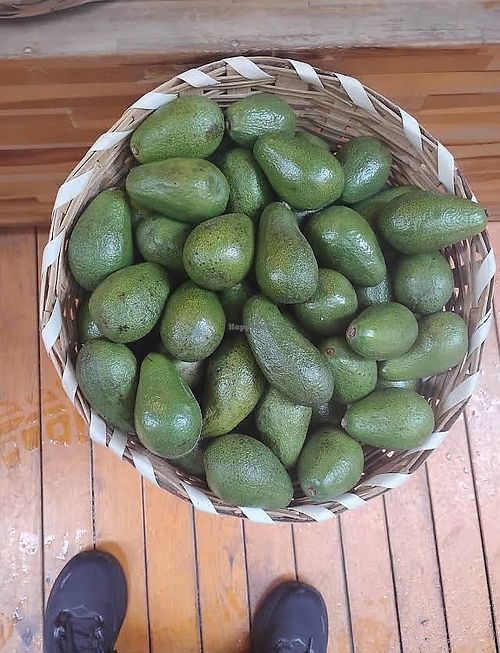   at Warehouse Ecological and Natural Products in Istanbul