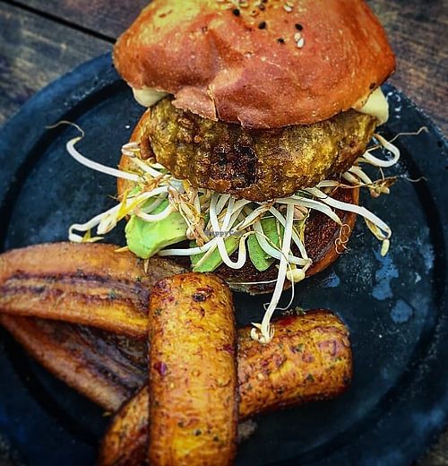 "no como carne" just ask for the vegan bread and no cheese. made with lentils at Mu Burgerhouse in Playa Del Carmen