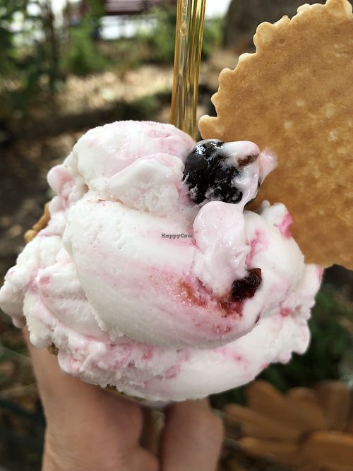 Sour cherry variegato on cream  at Gelato Di Natura in Venice