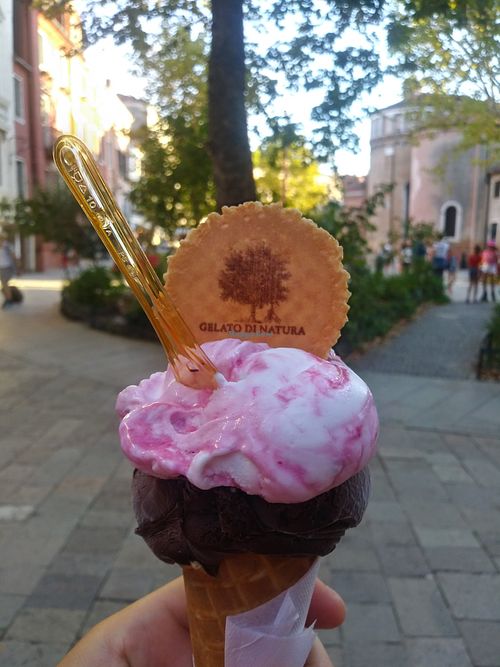 Vegan ice-cream at Gelato Di Natura in Venice