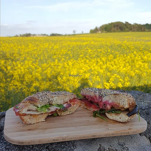 Half of the Vegan BLT bagel (left) and half of the Vegan 2 filled bagel (right) which we had to take away at The Mule on Rouge in Berwick Upon Tweed