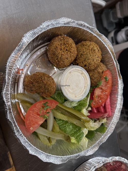 falafel  at Basha's Lebanese Grill in Binghamton