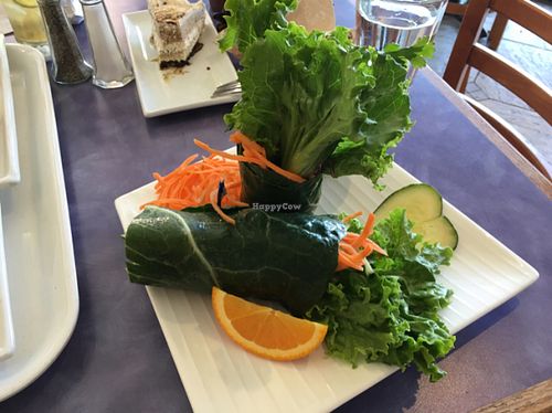 Nirvana Green Wrap. Raw.  at Sweet Lemon Vegan Bistro in Portland