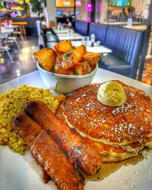 Image of The Modern Vegan