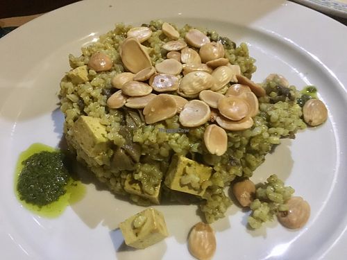Dish with rice, mushrooms and almonds at Canadu in Malaga