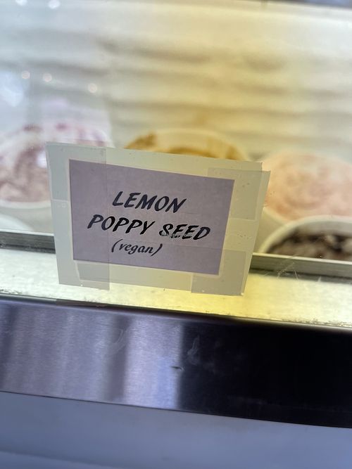 Vegan ice cream   at Zait & Za'atar in St Paul